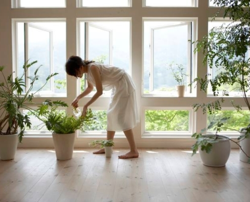 purificare l'aria di casa